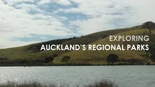 Exploring Auckland's Regional Parks