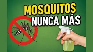 Mosquitos FUERA de tu casa 🦟❌ | El repelente casero que SÍ funciona y es natural