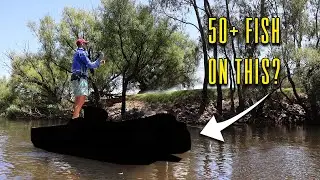 The Best Murray Cod Fishery In VICTORIA?!