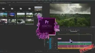 Adobe Premiere Pro CC- Import Footage 2017 (Official video)