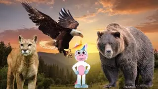 Animals for Kids | Mountain Lion, Grizzly Bear and Bald Eagle | Learning for Kids | Kids Education