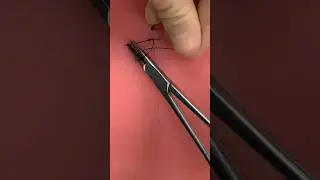Surgical Suturing ASMR #asmr #asmrsounds #suturing #surgery #medicine #surgeonlife #relaxing #vet