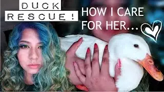 MEET MY INDOOR DISABLED DUCK! RESCUE STORY (TSABS ep.1)