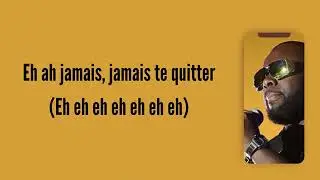 gims ambassadrice paroles.
