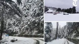 Solan: Fresh snow wraps Chail in white blanket