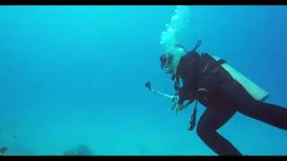 Diving in front of Dolphin Point Club Condos, West Bay Grand Cayman