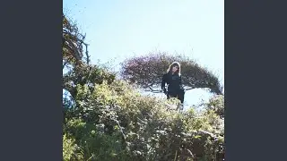 Take What You Can Get