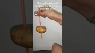 Plastic straw and potato activity