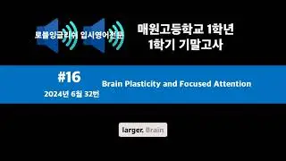 [매원고 1학년] #16 Brain Plasticity and Focused Attention (2024년 고1 6월 32번) 매원고 영어 내신, 로블잉글리쉬, 로이쌤, 노병훈