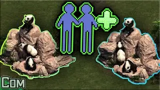 The Panda Rock Alliance
