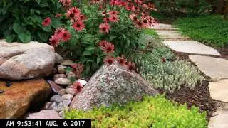 Our Garden II, 4K