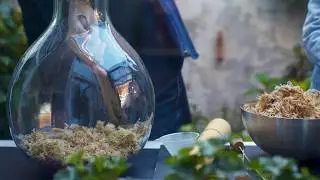How to build a closed terrarium