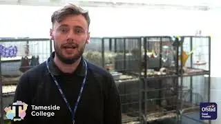 Animal Management