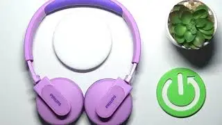 PHILIPS TAK4206PK &mdash; поддерживает ли беспроводную зарядку?