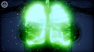 Boost Your Lungs Health | Overcome Shortness Of Breath And Chest Congestion | Prevent Infection