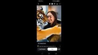 How to create the tiger touch animation by using one photo with Pixverse