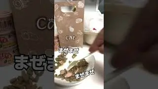リラちゃんのごはん作り１日３回