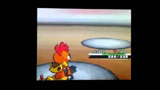 Scrafty Sweep B/W Wifi Battle