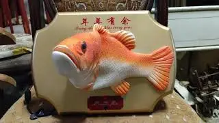 New fortune fish variant???? (VIDEO NOT MINE)
