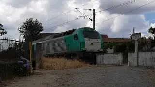 Comboio internacional n&deg; 48880 Takargo Alpha Trains