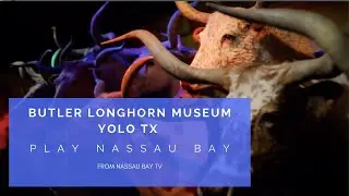 Long Live the Longhorn! YOLO TX Visits Butler Longhorn Museum
