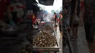Hidden Protein: The Surprising Nutritional Power Behind Asia&rsquo;s Chaotic Snail Markets.