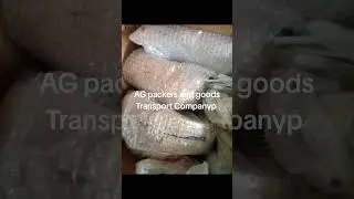 AG house shifting services in Sector H Please 1 DHA Lahore Pakistan