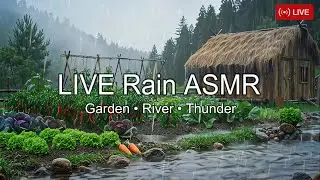🌧️ LIVE | Heavy Rain in Colorful Garden + River | ASMR for Sleep, Relax, Study