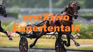 Prix du Bourbonnais 2025 | Tingle Creek Chase 2025 | oneXtwo Expertentalk