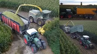 Mais häckseln (John Deere 8700i/Fendt/Deutz Fahr/Kverneland/Krampe/Wagner/Pühringer/Wielton)
