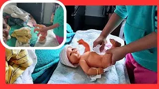 BaBY TRAiNinG our FAMiLY!! Lolla learns more about babies and diaper changes #vlog 