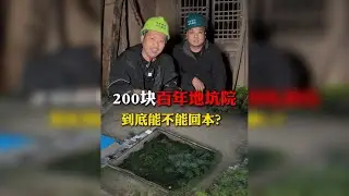 花200块盘下一个百年历史的地坑院，到底能不能回本？
