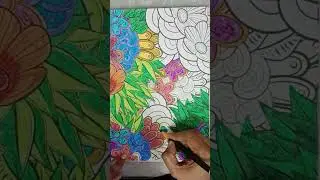 Magic of Colors