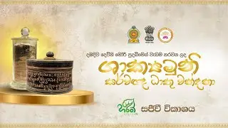 🔴දඹදිව 