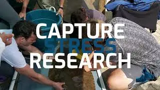 Oceans Research Field Research Program: 2019 - 2020