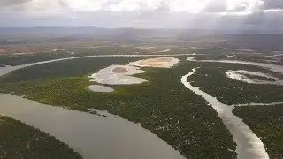 La conservation des mangroves, retour d'expérience de Tanzanie, Kenya et Madagascar