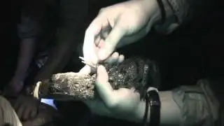 Belize Crocodile Encounter