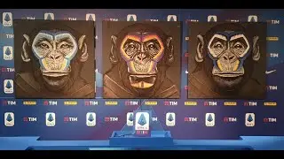 LEAGUE USES MONKEYS IN ANTI-RACISM POSTERS  (MHI/CNN)