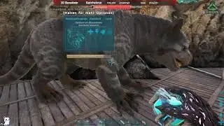 {18+} 🌈📺 Spielwiesen TV Twitch Ark Hunted Mod auf Ragnarok #09