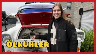 Hitzeproblem vorbeugen - &Ouml;lk&uuml;hler f&uuml;r Findus - Ford Transit MK1