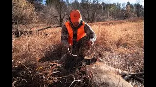 Big rutting bucks in Nebraska! |Rut Action| 2024 rifle season