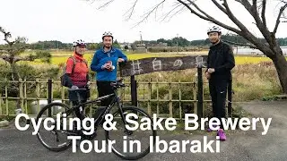 Cycling & Sake Brewery Tour in Ibaraki
