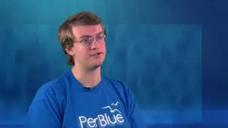 PerBlue Culture