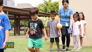 Best Of Hawaii 2024: Seagull Schools | ISLAND LIFE