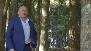 Totara regeneration