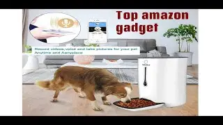 Petnet SmartFeeder, Automatic Pet Feeder for Cats and Dogs, Compatible with Alexa