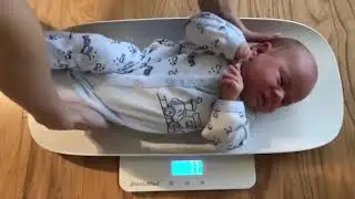 The Digital baby scale Every family Needs! Multi-Function Toddler Scale or Pet Scale,