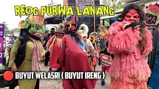 Live Bendrong kering acara NGUNJUNG MBAH buyut welasri buyut Ireng | Reog Purwa lanang panyindangan