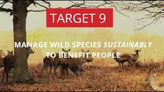 Transformative actions needed to impement the KMGBF Target 9!
