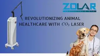 INTRODUCING SWIFTLAZE - CO2 VETERINARY LASER
